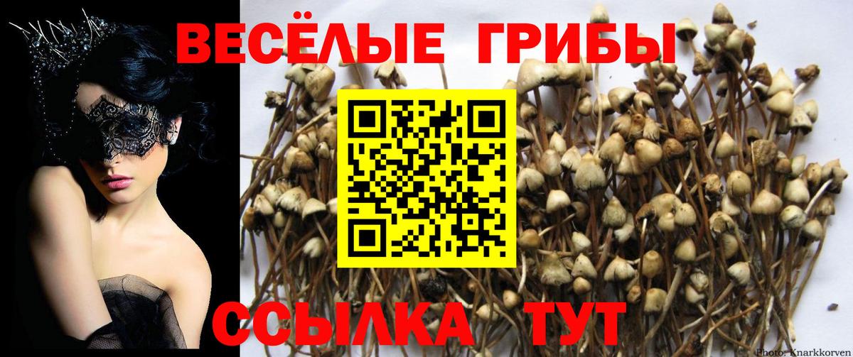 Псилоцибиновые грибы мухоморы Карпинск
