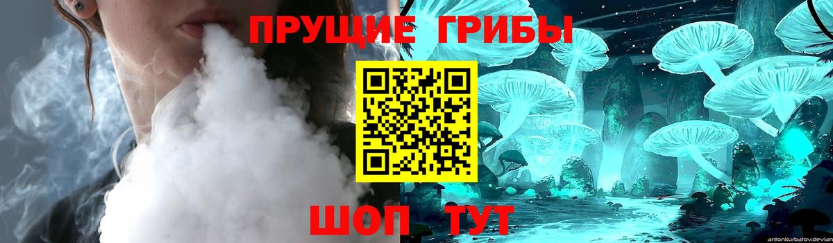 Псилоцибиновые грибы прущие грибы  Галлюциногенные грибы прущие грибы  где найти   Карпинск  Вход с VPN 